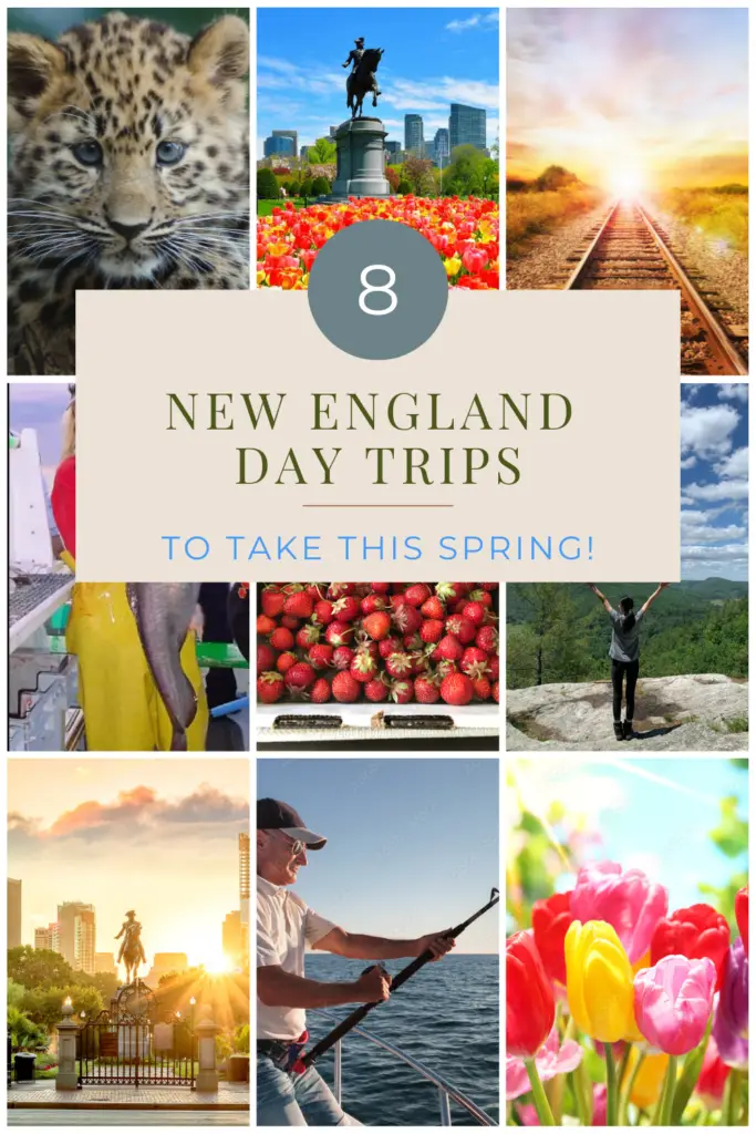8 new day trips pin