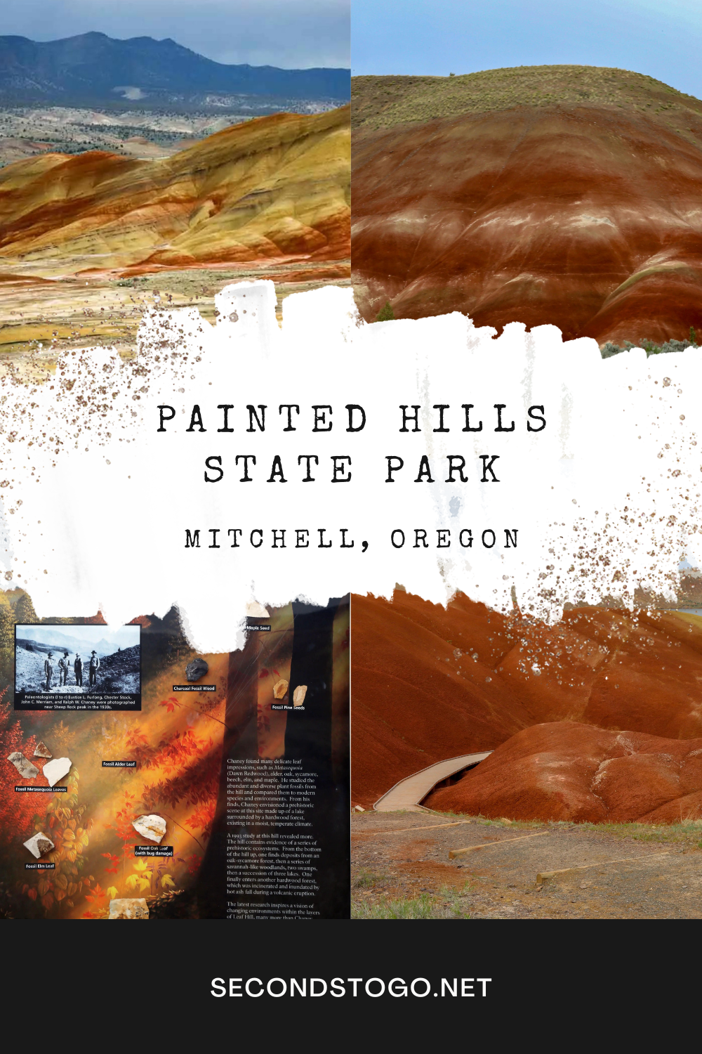 Painted Hills State Park Pin