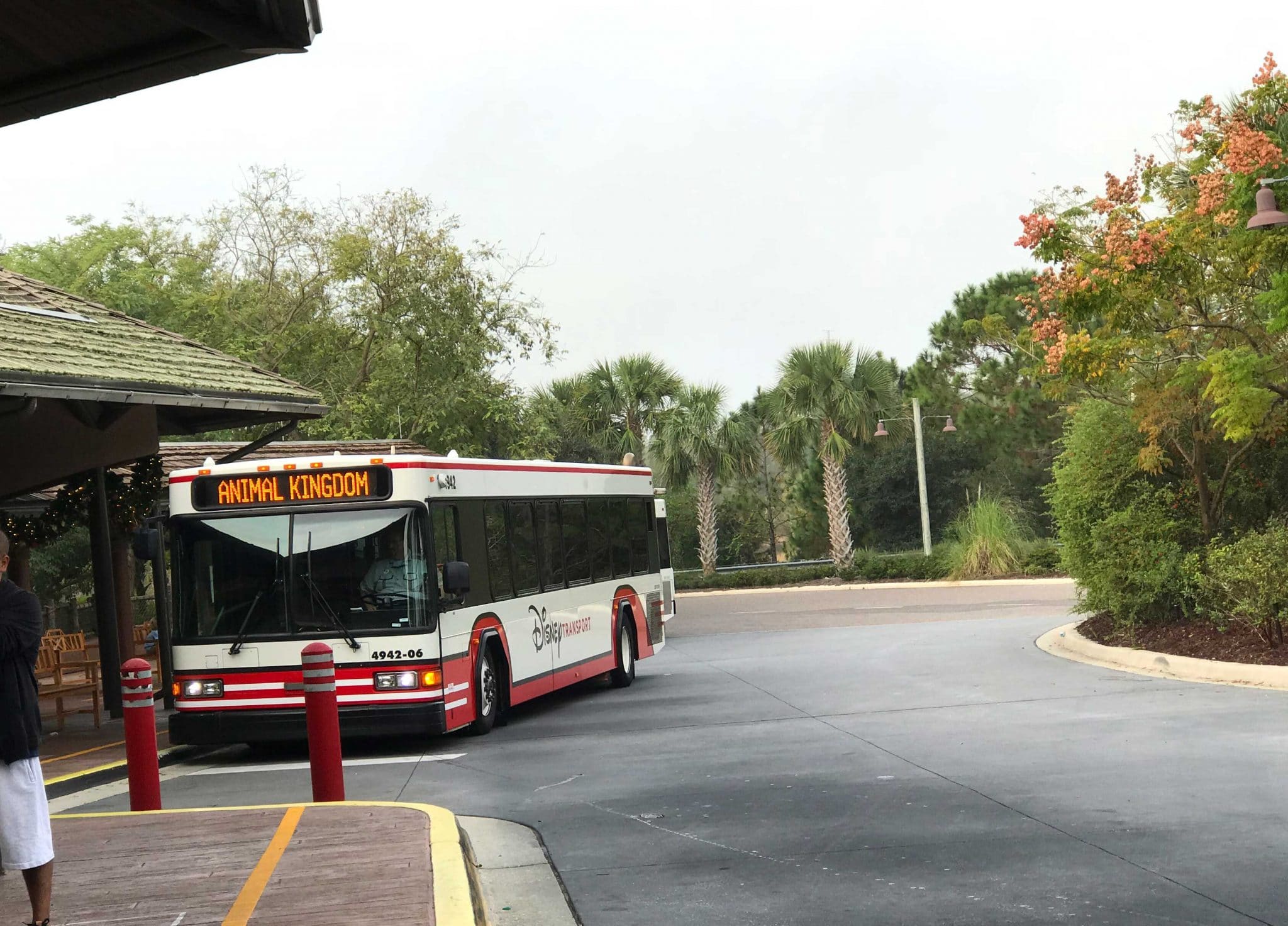 Disney-World-Transportation-bus