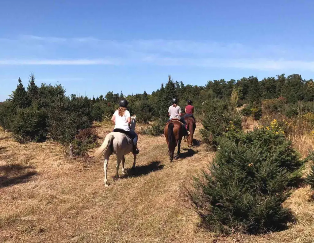 girls heading out on a trail ride.