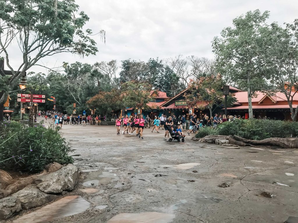 Crowds racing toward Flight of Passage in Animal Kingdom after opening on an EMH morning