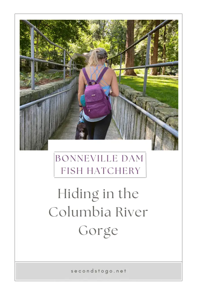 Bonneville Dam Fish Hatchery