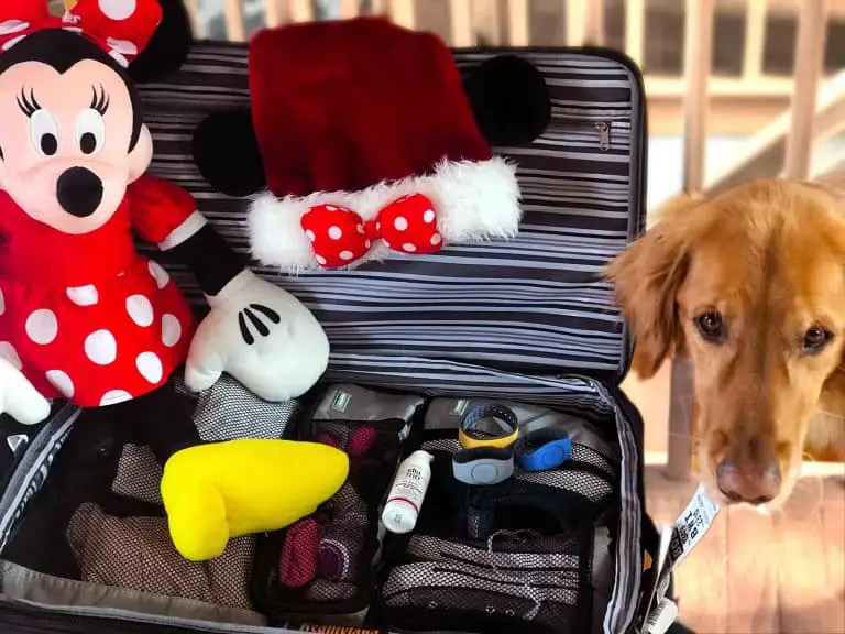 Dog stands beside suitcase being packed for Disney World
