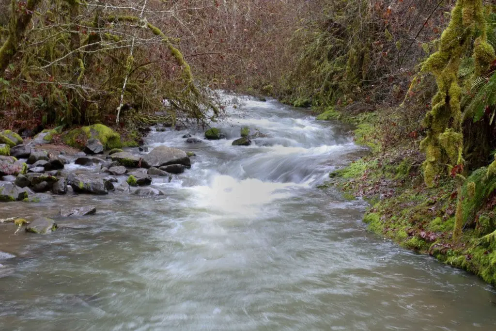 McDowell Creek Falls creek