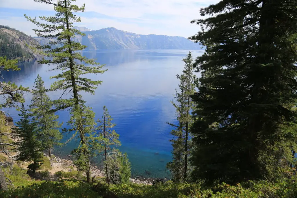 Crater lake through the trees in Oregon Travel Guide