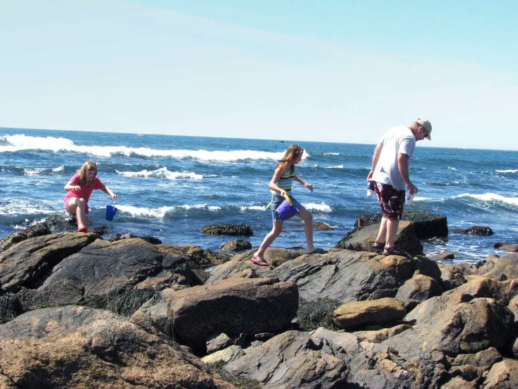 Family walking across the rocky shore of Rhode Island in search of tide pools