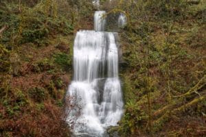 Royal Terrace falls on the McDowell Creek Falls trail