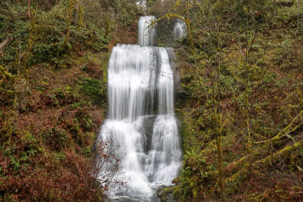 Royal Terrace falls on the McDowell Creek Falls trail