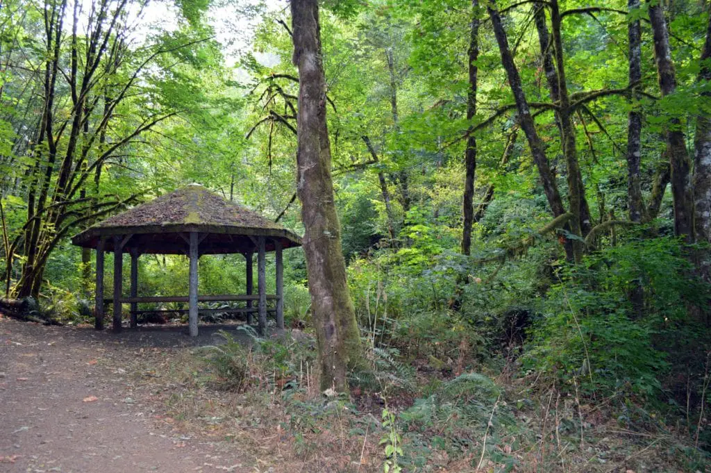 moss covered gazebo at Beazell Memorial Forest