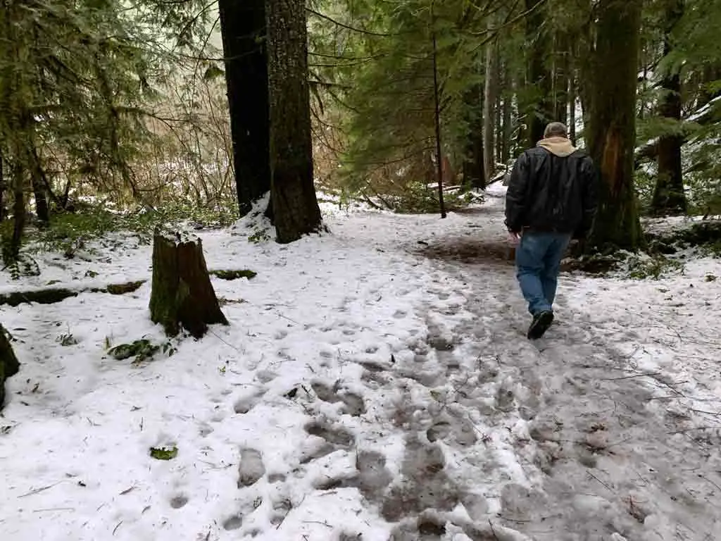 Snowy path on Toketee Falls trail