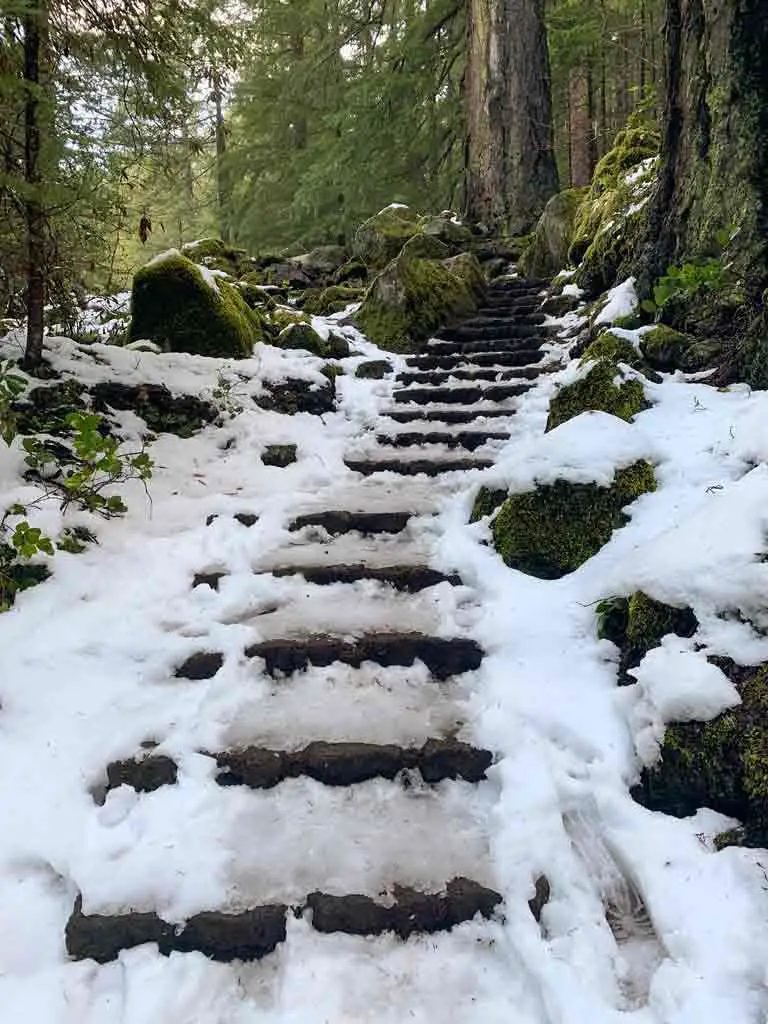 Snow covered stairs leading to Tokatee Falls