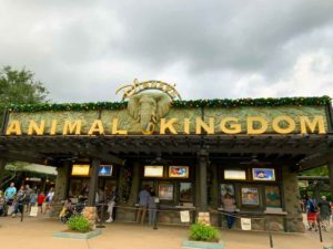 Entrance to Animal Kingdom Park at Disney World