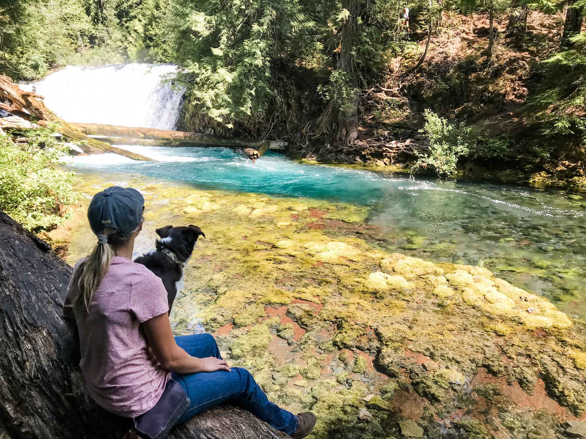 Woman sitting on a log with a dog watching waterfall in Dog-friendly Oregon travel