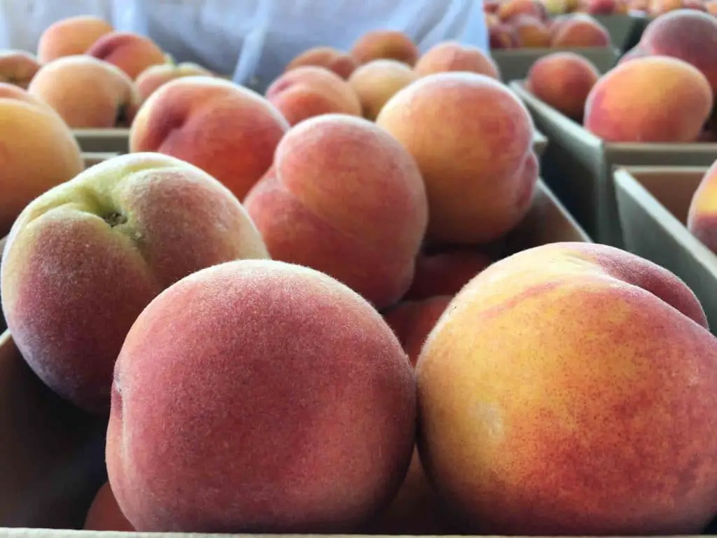Oregon farm stand peaches