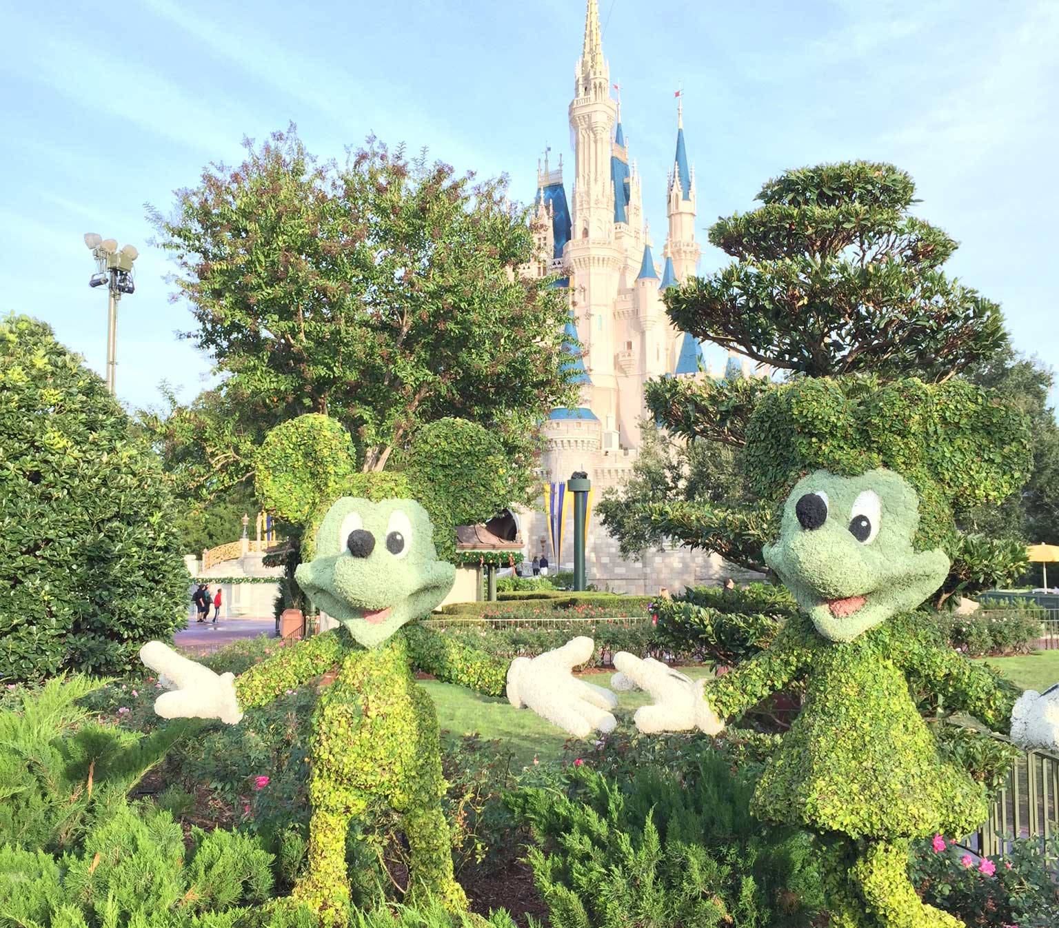 topiary of Mickey and mInnie Mouse