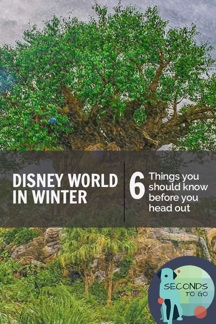 Disney Animal Kingdom Tree of Life behind a screen of snow.