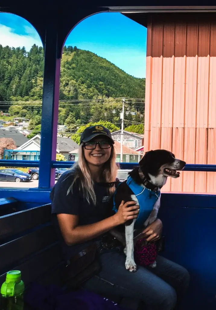 aussie sitting in lap on the Oregon Coast Scenic Railroad