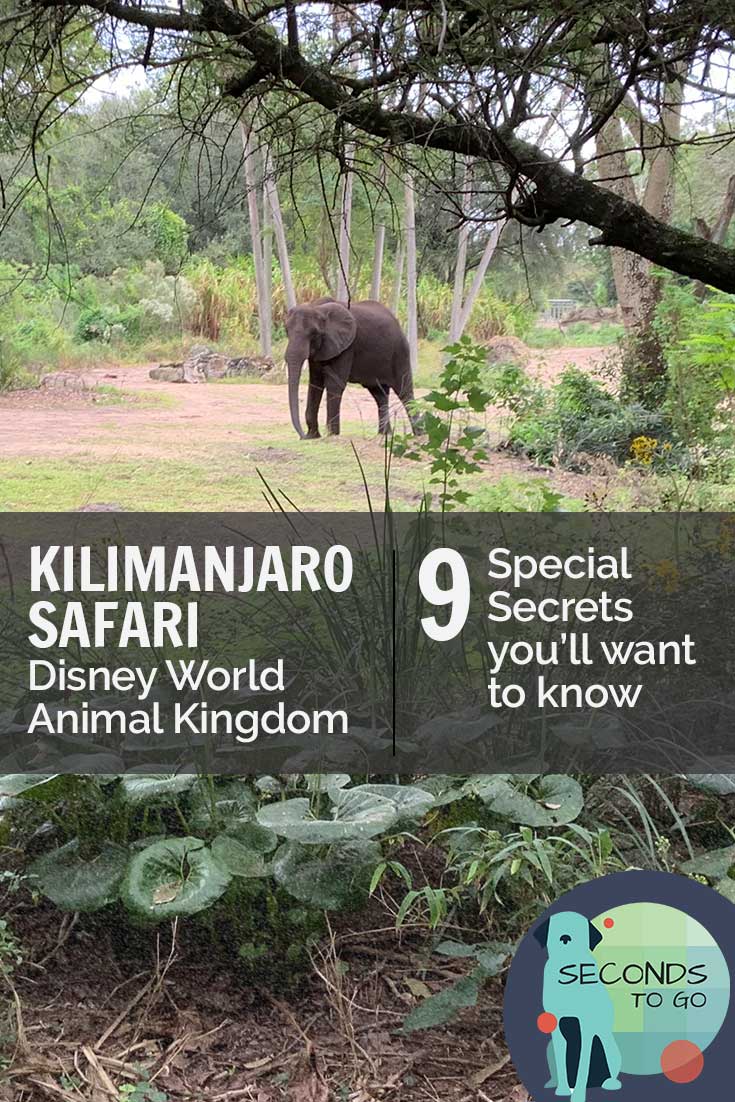 Secrets of Disney World History: Kilimanjaro Safari Animal Kingdom