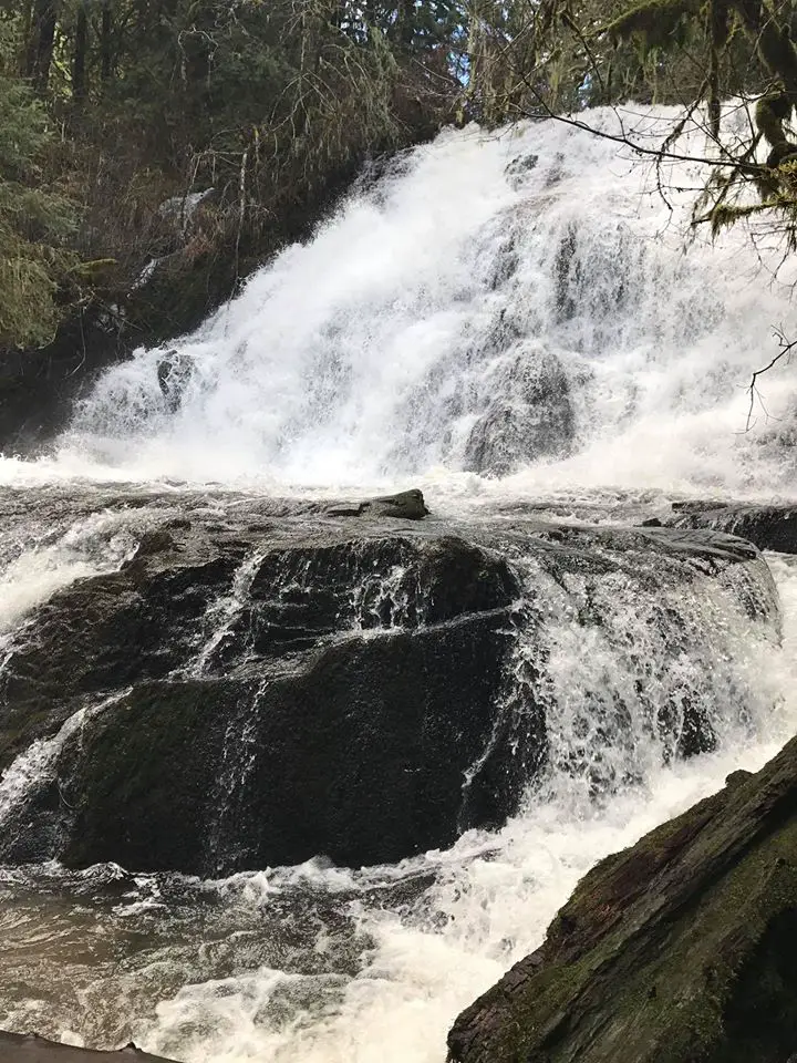 Alsea Falls is one of the best Oregon hiking trails