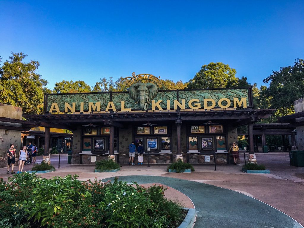 Entry to Disney World Animal Kingdom Park