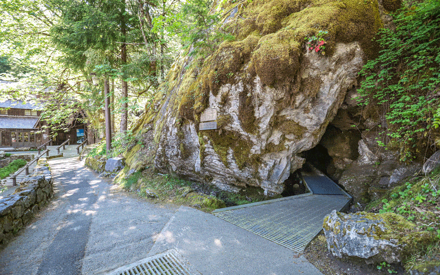 The Oregon Caves National Monument and Preserve