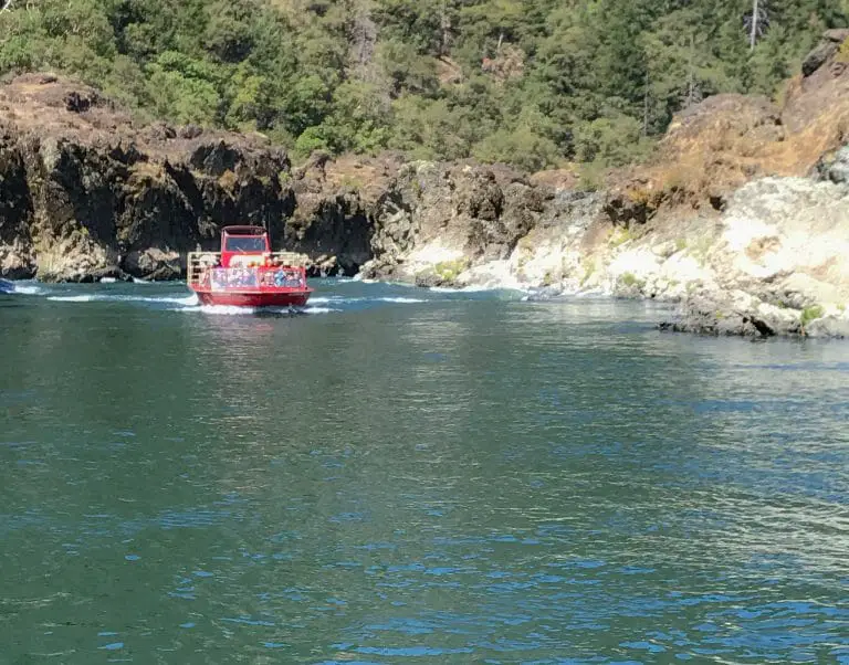 Rogue River jet boat heading upriver