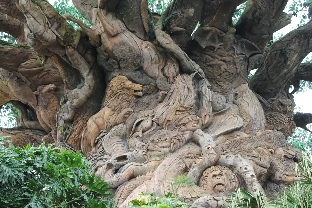 Carvings that belong to the centerpiece of Animal Kingdom theme park, the tree of life