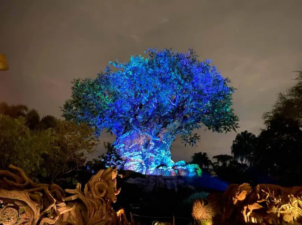 Animal Kingdom Tree of Life lit up after dark