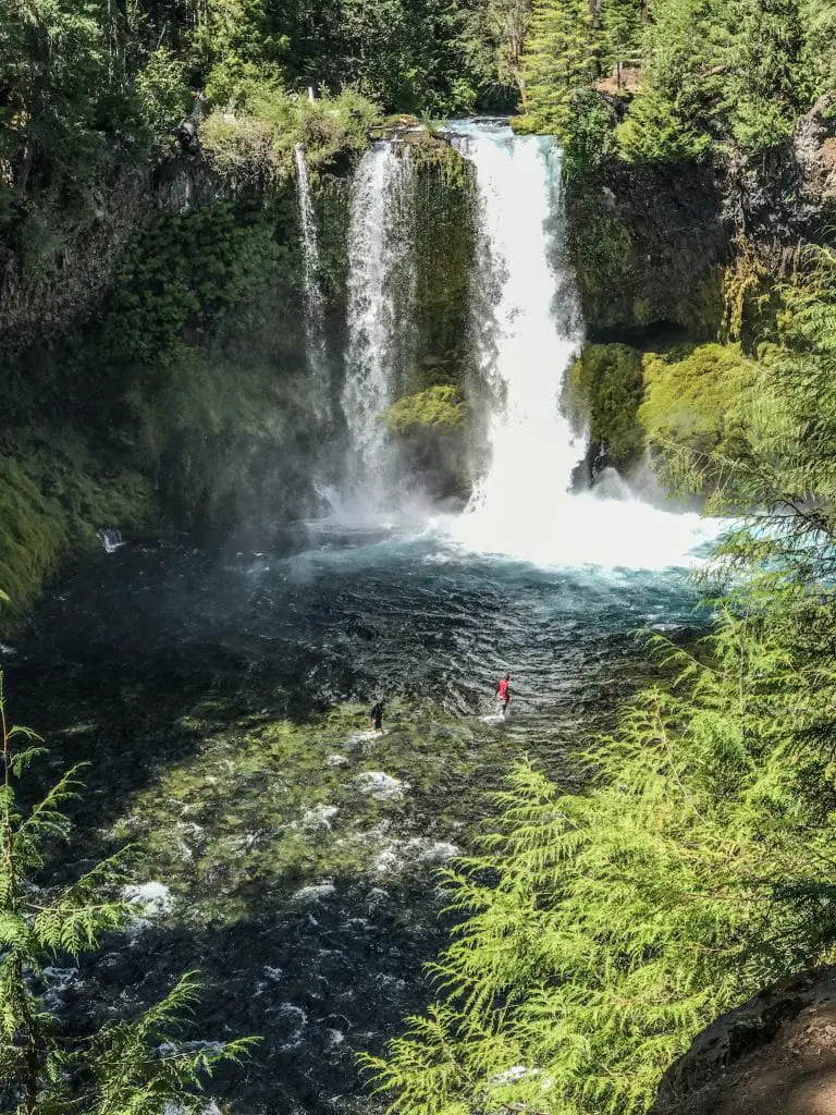Koosah Falls in Oregon