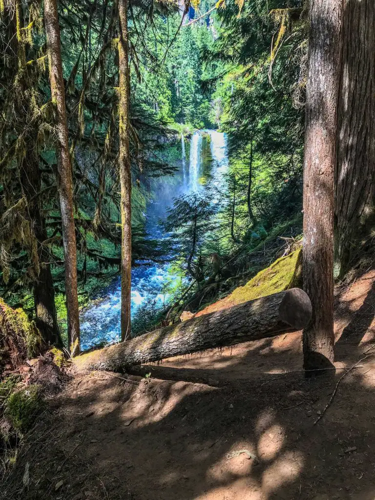 one of the most beautiful dog friendly places in Oregon destinations of Koosah Falls