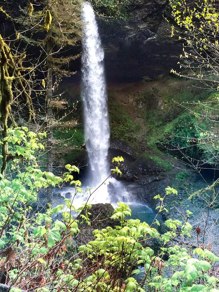 Oregon spring rainfall cascadies in front of a large cavern at Silver Falls, one our favorite Oregon scenic places.