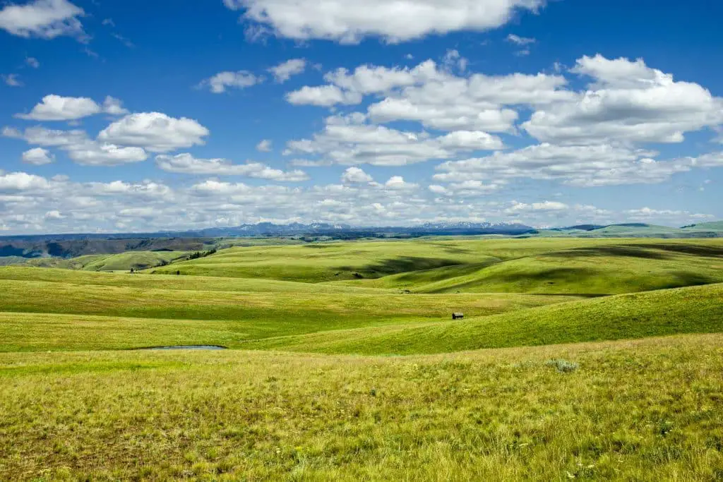 Zumwalt Prairie with blue sky and green grasses is one of the most beautiful Oregon scenic places.