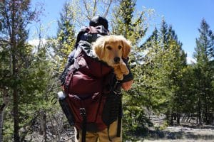 Best CT hikes featured 2