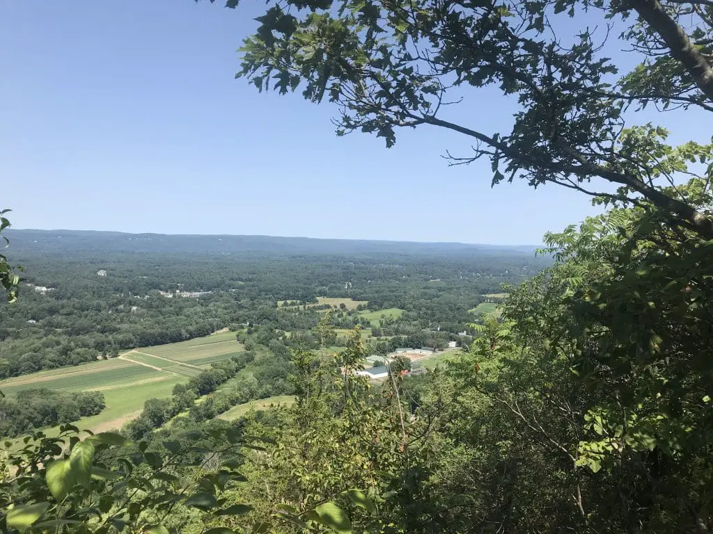 View from atop Talcott Mountain with framing tree branch