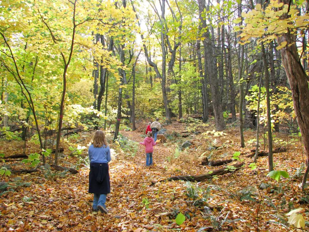 family hiking the Garret Stairs on the McLean Game REfuge WEstledge Trail