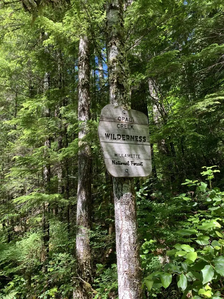 Entrance sign to Henline Falls in the Opal Creek Wilderness