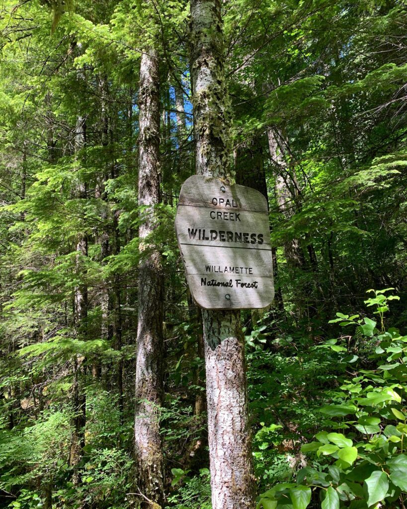 Entrance sign to Henline Falls in the Opal Creek Wilderness