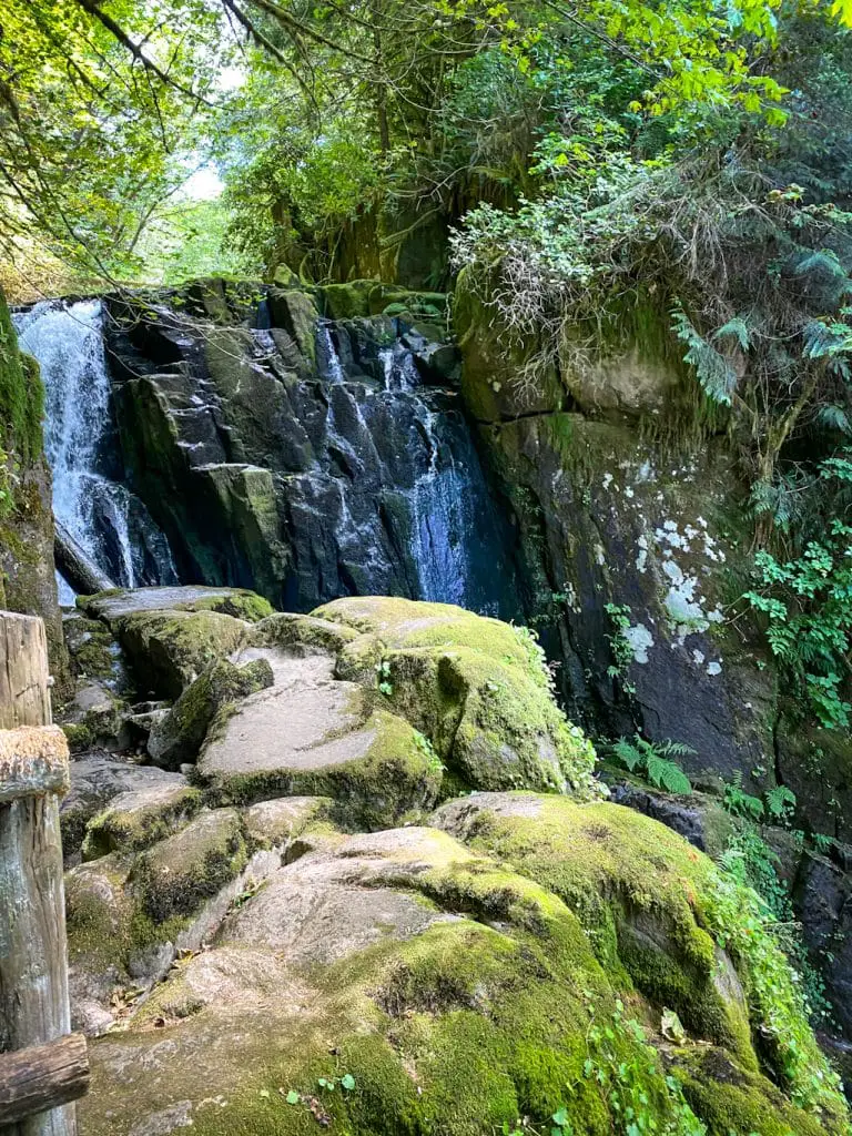 Upper Fall of Sweet Creek Falls