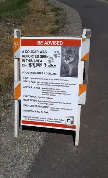 Sign warning of a cougar in the park.
