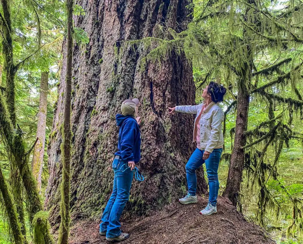 mother daughter travel bloggers in old growth forest