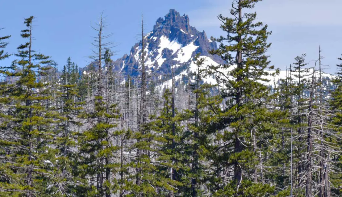 The Over the Woods and Through the Woods Scenic Byway Views