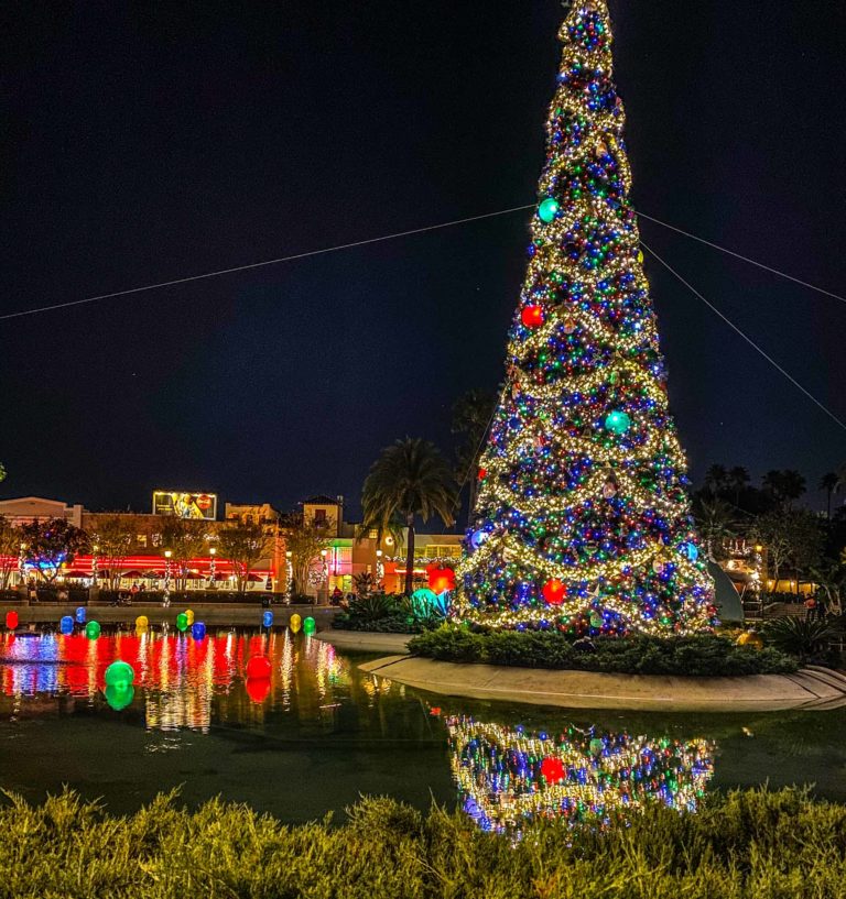 Christmas tree and decorations at night at Disney's Hollywood Studios