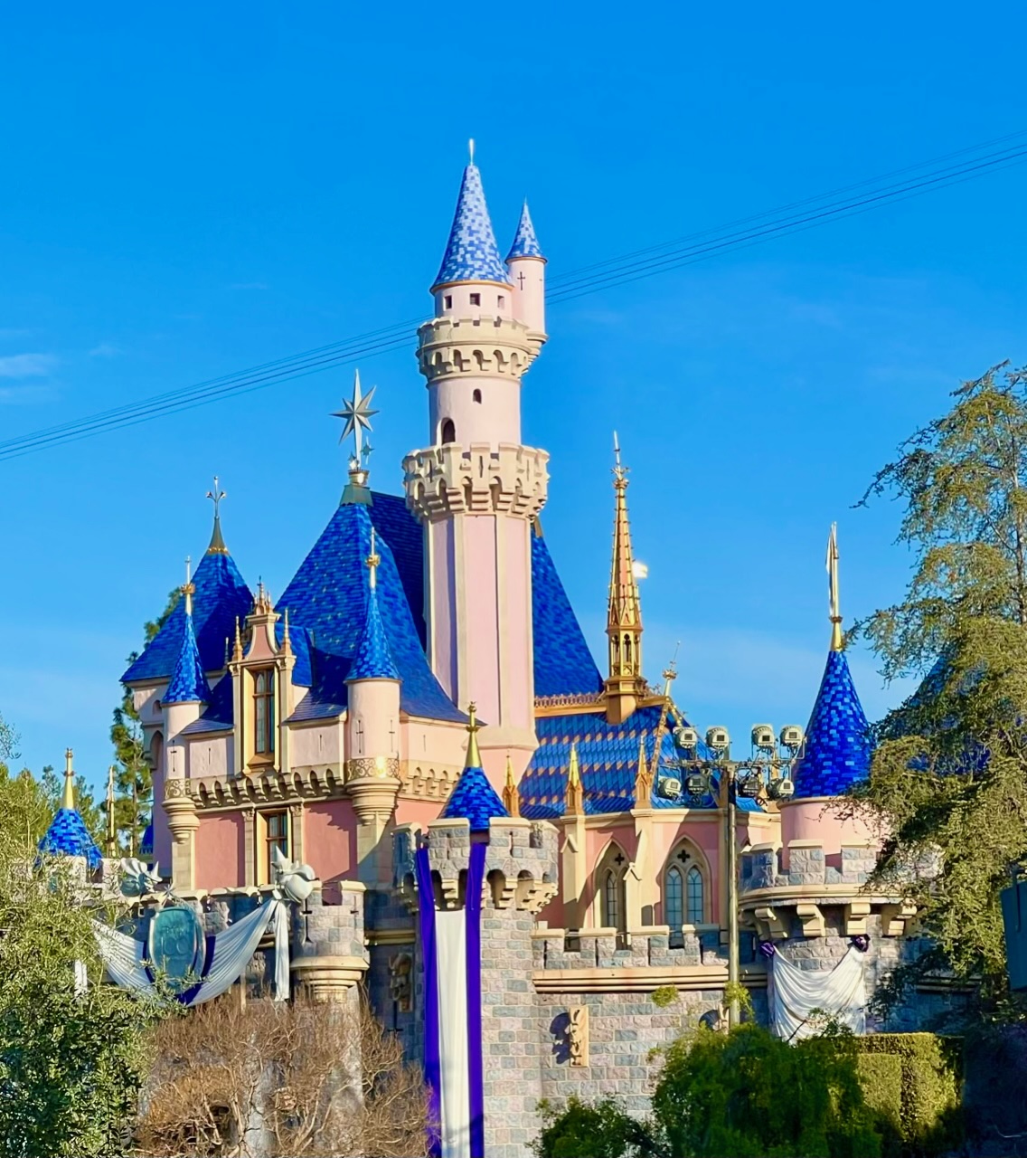 2 Disney Park Icons Battle It Out: Disney World VS Disneyland Castle