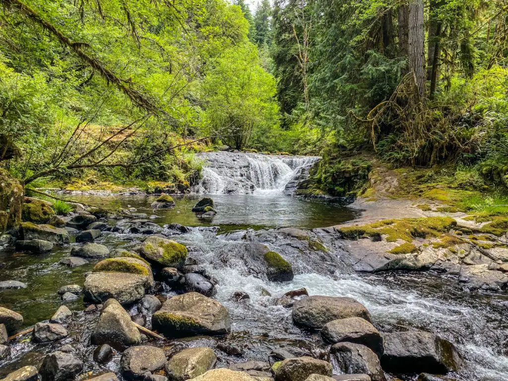 Hiking Sweet Creek Falls offers a chance to see four unique waterfalls while on this easy Oregon hike.