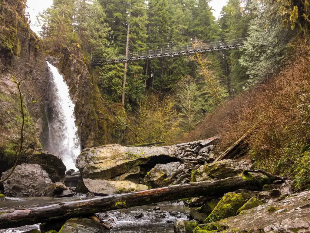 Drift Creek Falls has a suspension bridge at the end of its easy Oregon hike