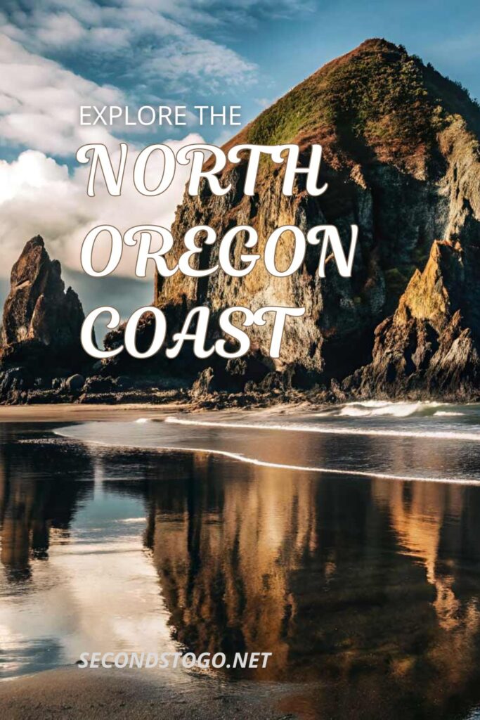 NORTH OREGON COAST Pin