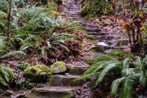 Easy Oregon hikes provide an opportunity for all those to get out and see the outdoors
