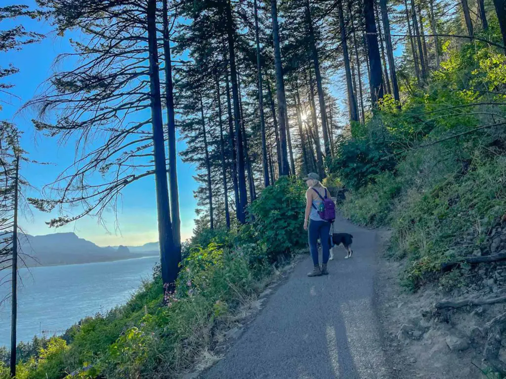 Young woman and dog climb the switchbacks of the Multnomah Falls Columbia River Gorge trail