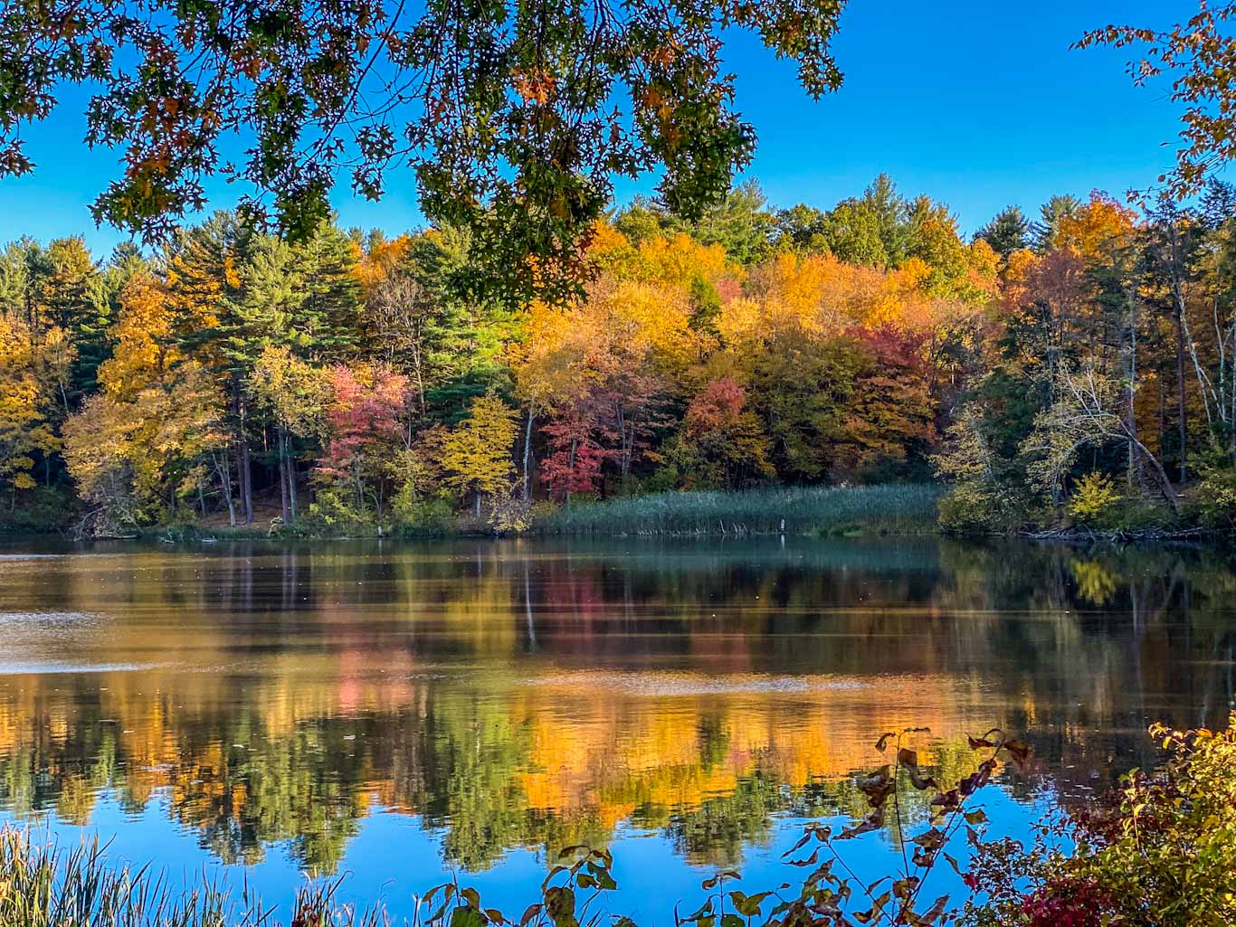 New England Fall Color, Incredible Ways to Enjoy the Season - Seconds to Go