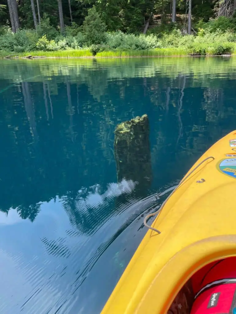 Kayak and underwater tree